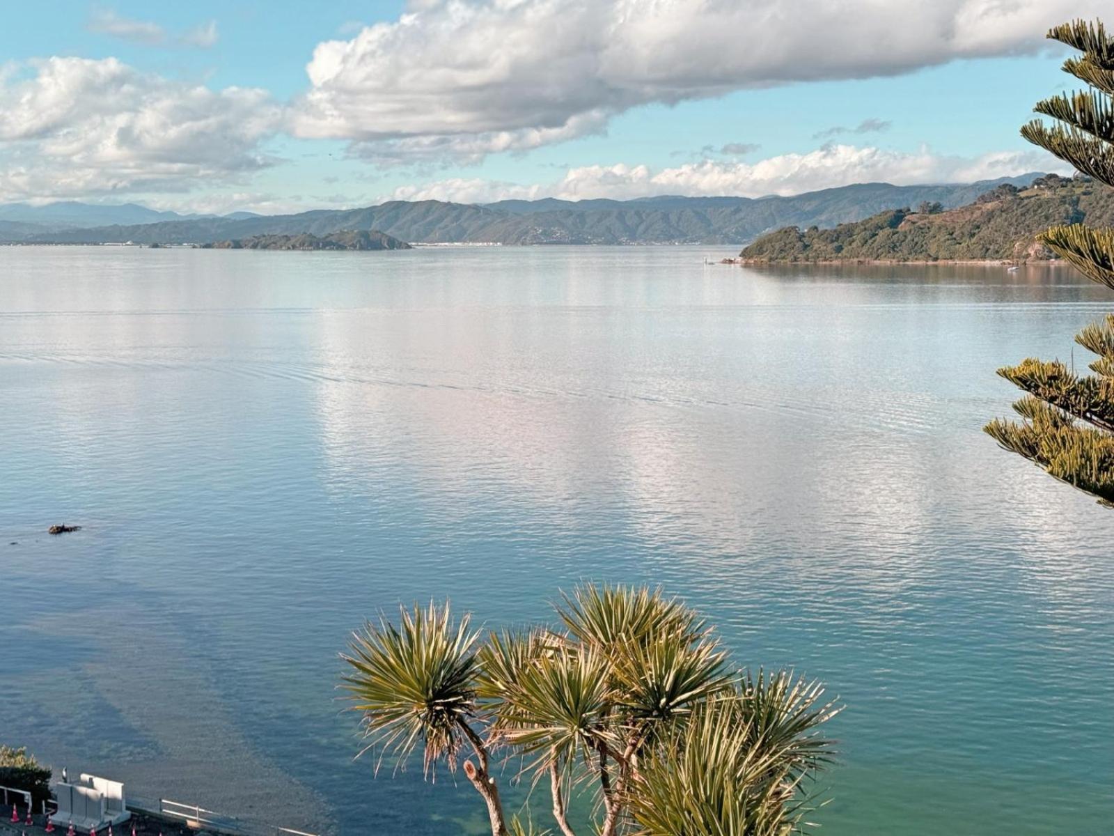 Roseneath Sea-View Haven Wellington Villa Exterior photo